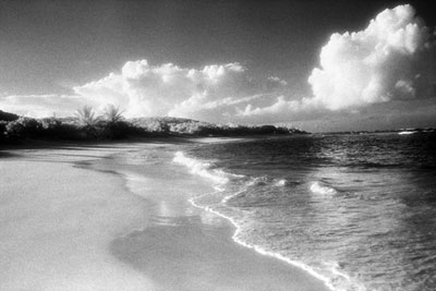 A Little Piece of Paradise